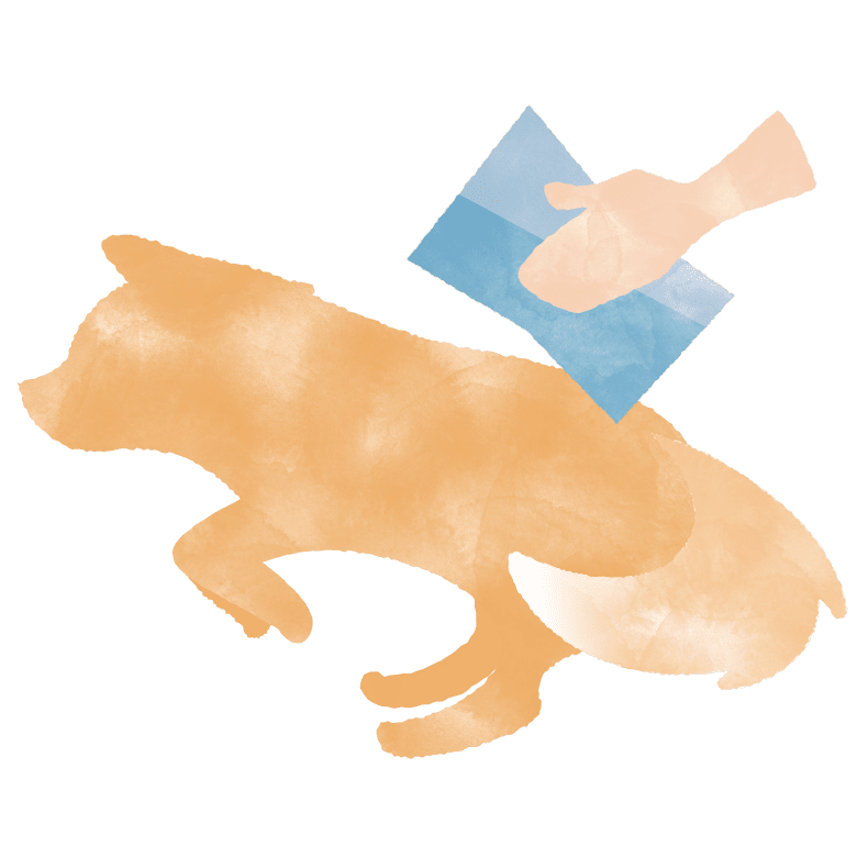 体をきれいにします